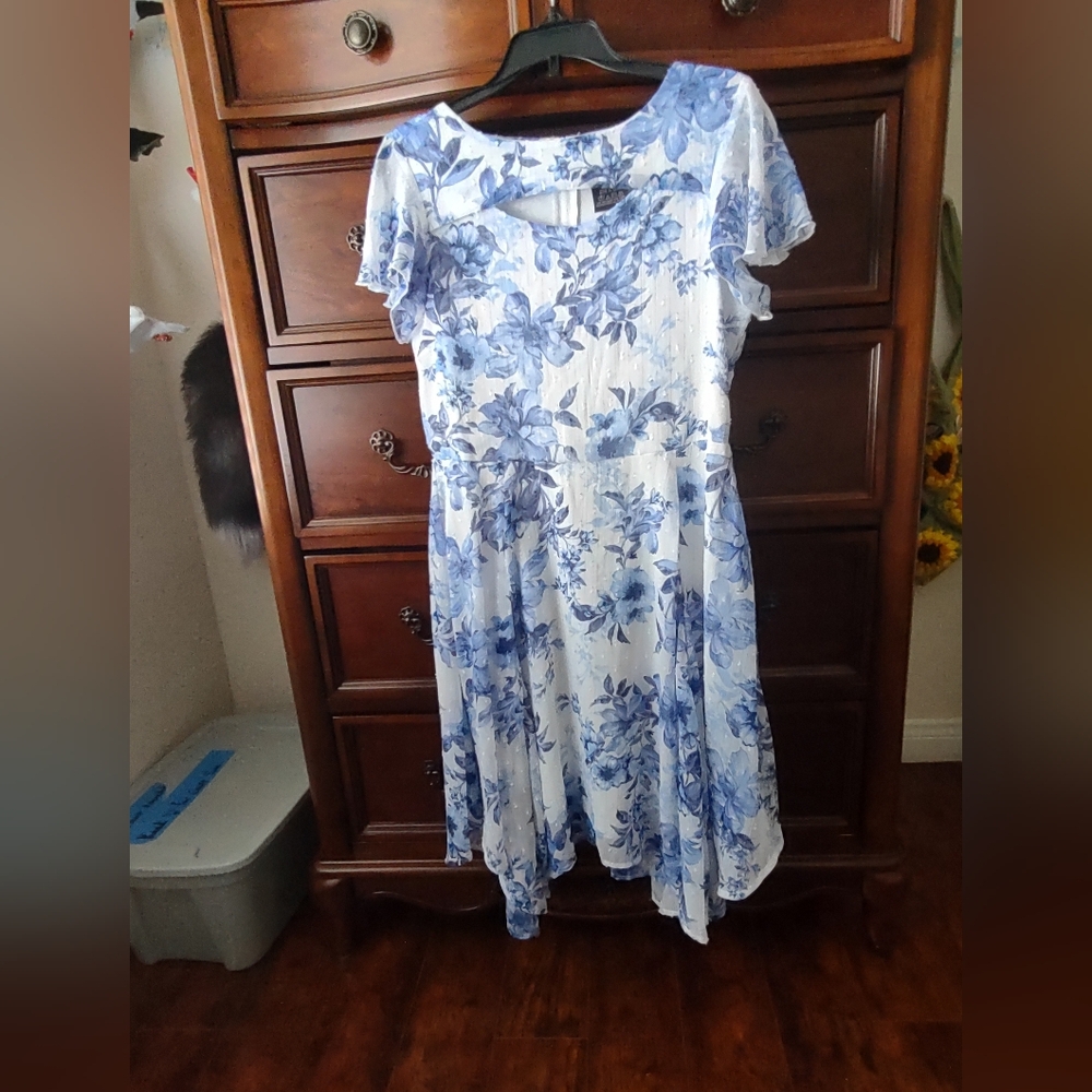Jasmine Asymmetrical Dress in Blue and White Floral
